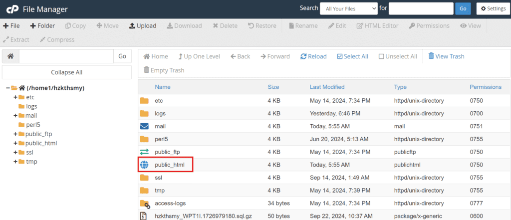 File manager on Bluehost