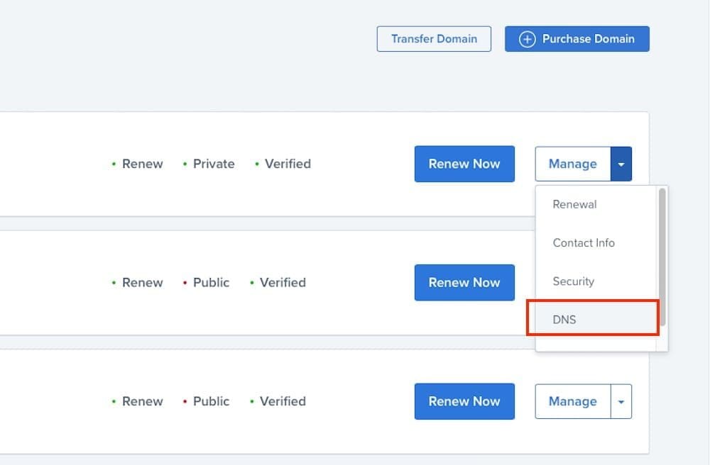 DNS Setting in Bluehost